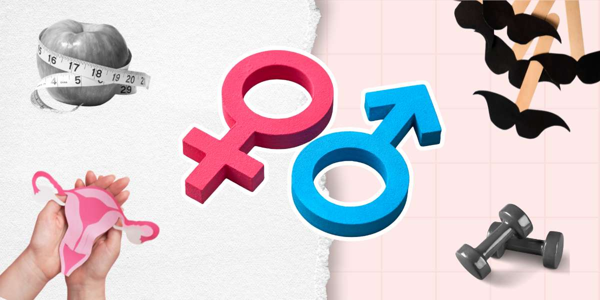 Фото статті Тестостерон, естрогени, пролактин: аналізи на гормони у чоловіків та жінок