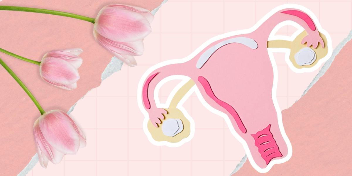 Фото статті За межами мазка і бакпосіву: 16S NGS секвенування як новий погляд на вагінальний мікробіом