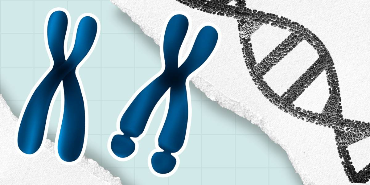 Фото статті FRAX - синдром Мартіна-Белл у хлопчиків та причина передчасного виснаження яєчників у жінок