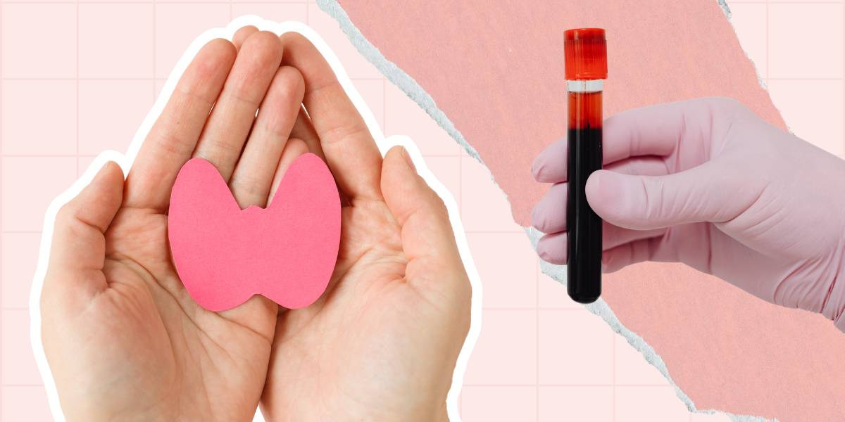 Фото статті Щитоподібна залоза: невеликі розміри – важливі функції