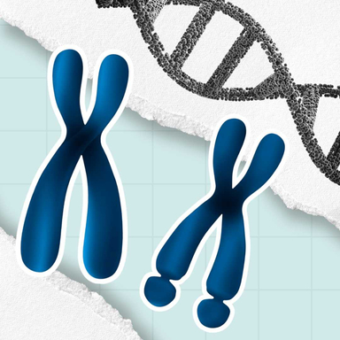 Фото FRAX - синдром Мартіна-Белл у хлопчиків та причина передчасного виснаження яєчників у жінок статті