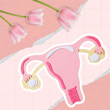 Фото За межами мазка і бакпосіву: 16S NGS секвенування як новий погляд на вагінальний мікробіом статті