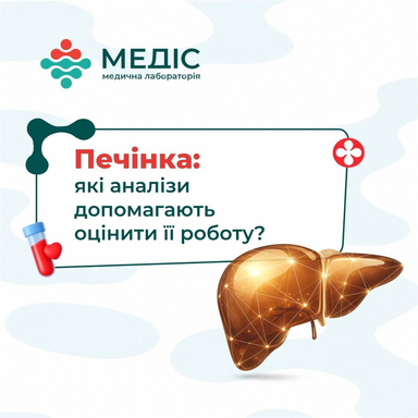 Фото Печінка: які аналізи допомагають оцінити її роботу? статті