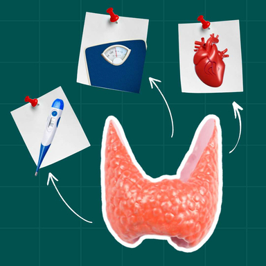 Фото Чи правильно функціонує ваша щитоподібна залоза? статті