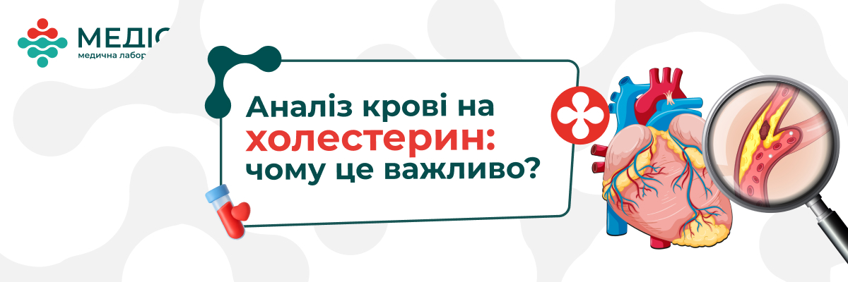 Поширеність серцево-судинних захворювань зростає кожного року. Більшість людей звертаються до кардіолога лише тоді, коли з’являються скарги: підвищений тиск, задишка, біль у грудях, втома. Але важливі зміни у судинах починаються значно раніше — без болю і будь-яких ознак.

Саме підвищений холестерин часто запускає ці процеси, і людина роками не підозрює про ризики.