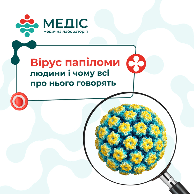 Фото новини Вірус папіломи людини і чому всі про нього говорять